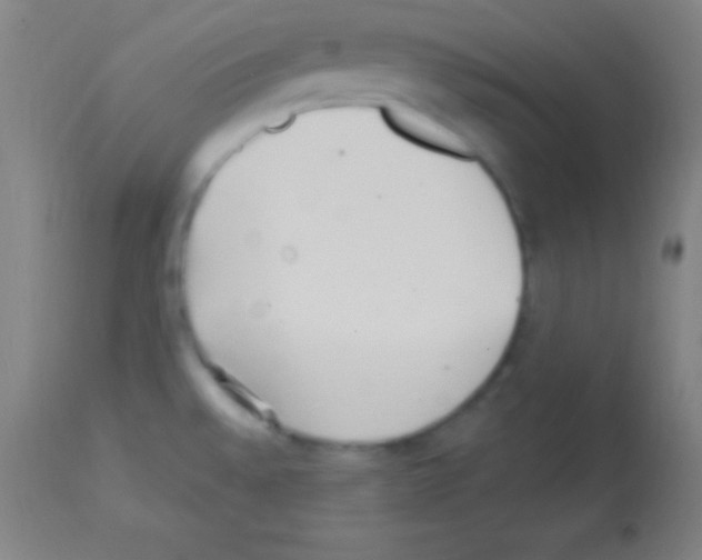 X0000113161528200910161232