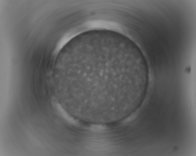 X0000113161529200910161232