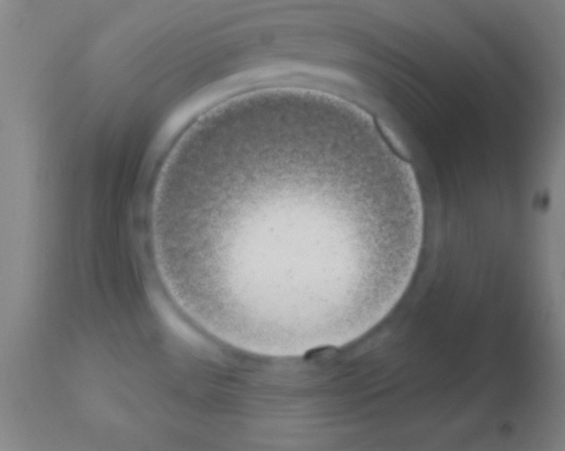 X0000113161531200910161232