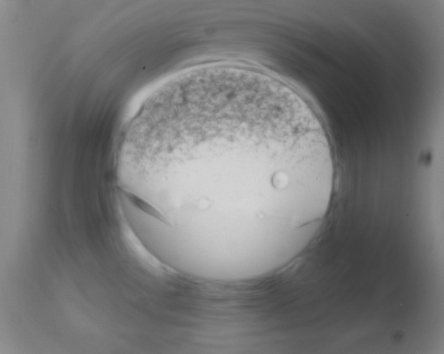 X0000113161532200910161232