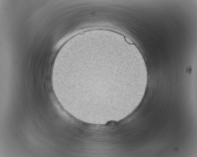 X0000113161534200910161232