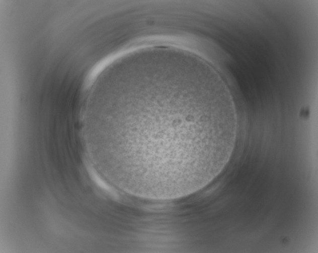 X0000113161535200910161232