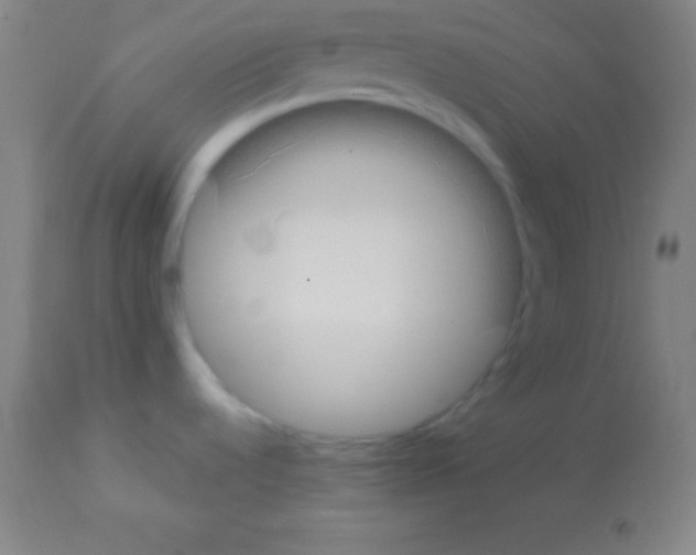 X0000113161536200910161232