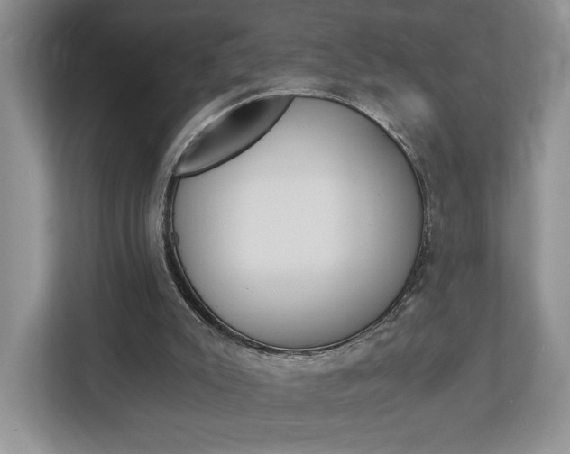X0000113170007200909040943