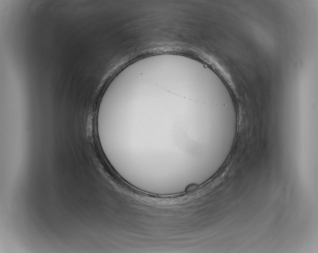 X0000113170010200909040943