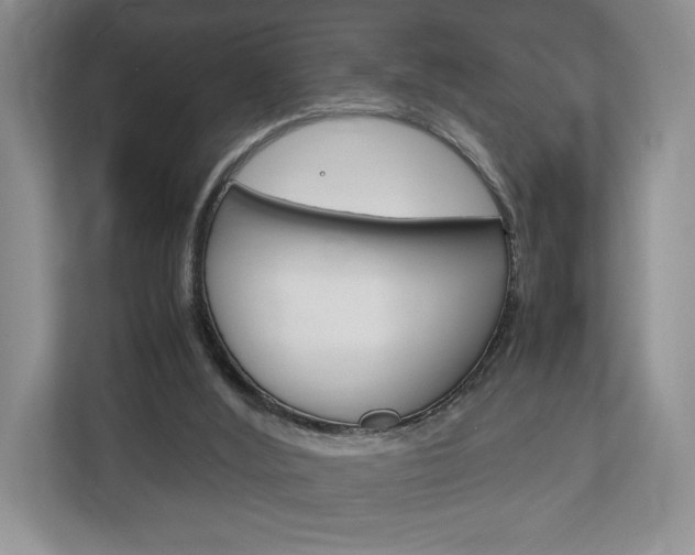X0000113170012200909040943