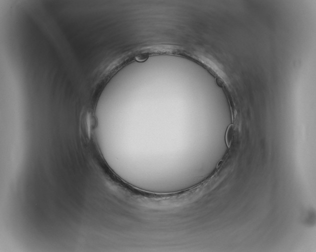 X0000113170013200909040943