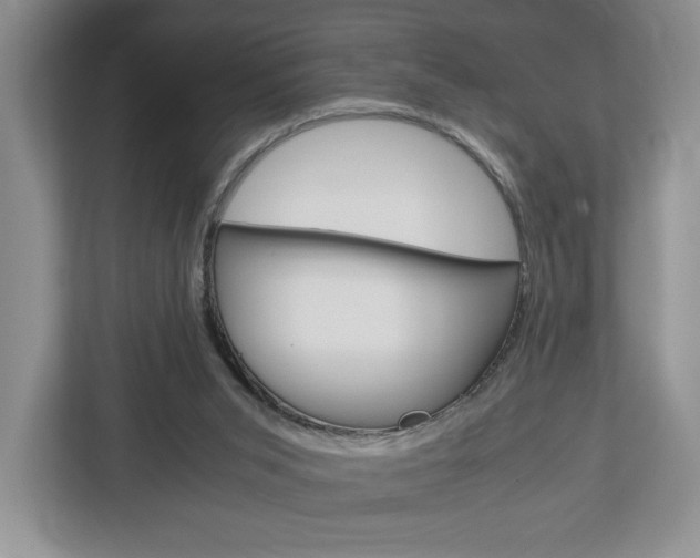 X0000113170015200909040943
