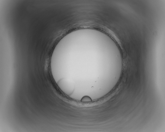 X0000113170018200909040943