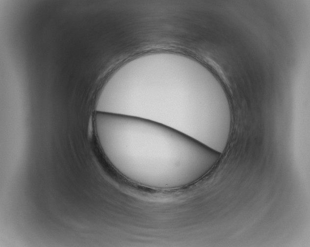 X0000113170020200909040943