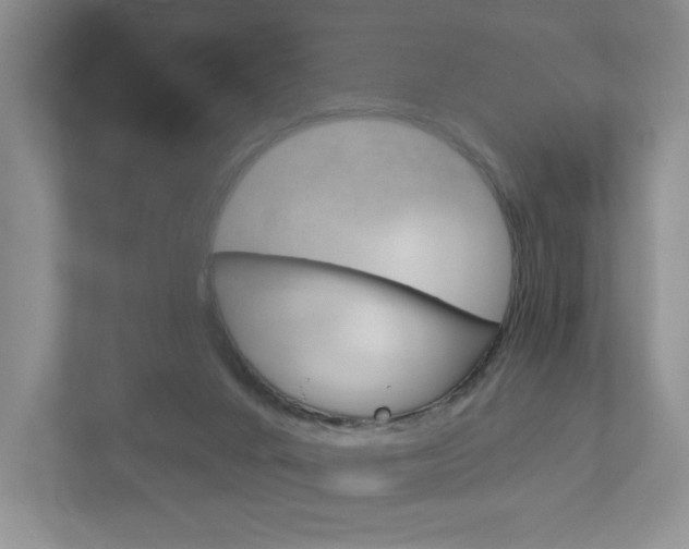 X0000113170024200909040943