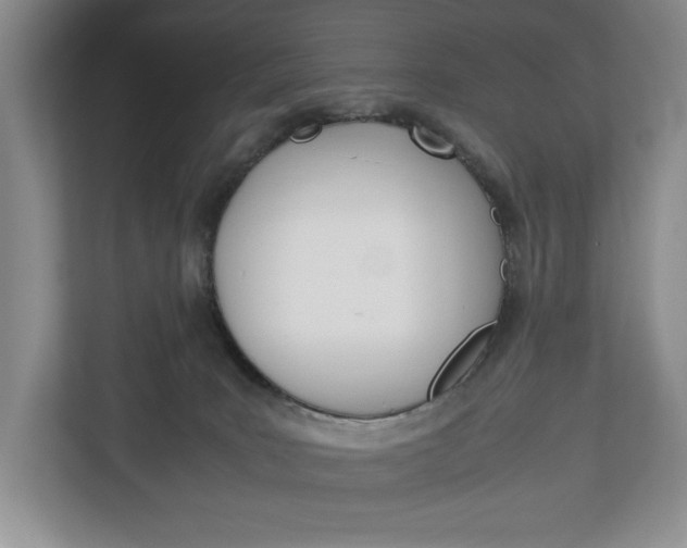 X0000113170035200909040943