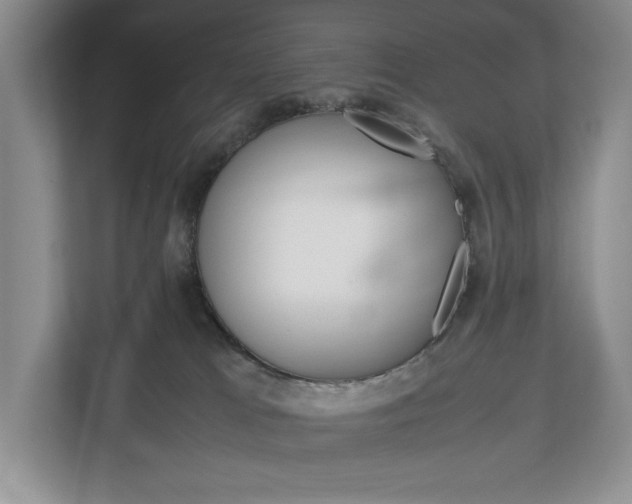 X0000113170037200909040943