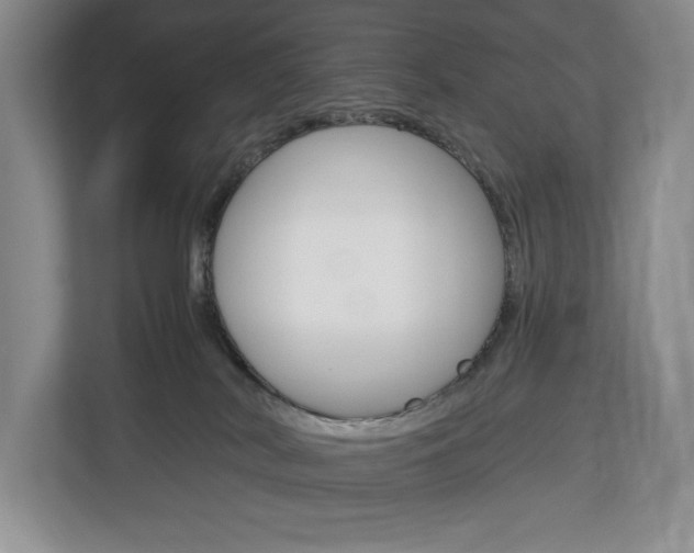 X0000113170038200909040943