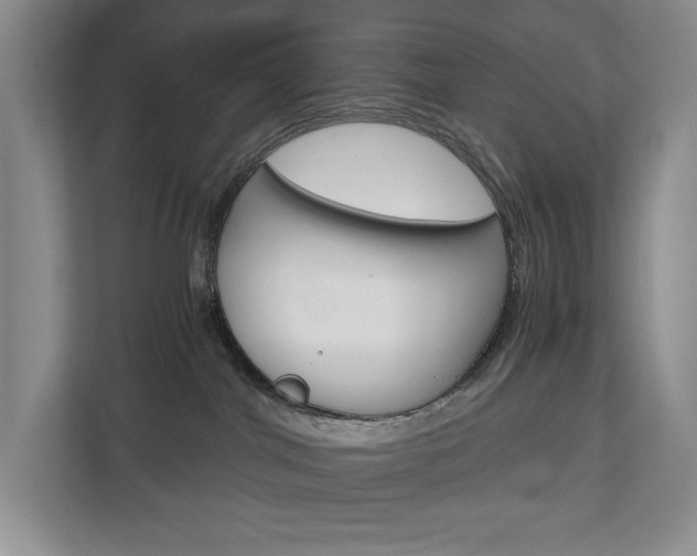 X0000113170044200909040943