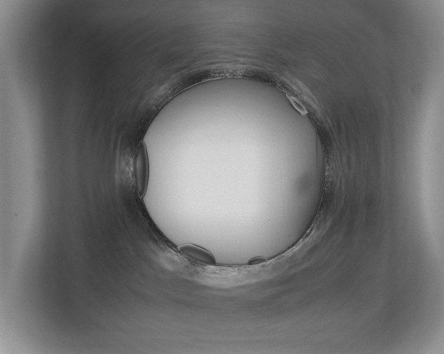 X0000113170045200909040943