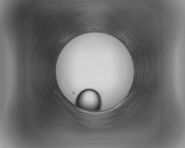 X0000113170047200909040942