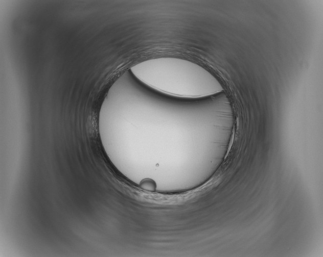 X0000113170048200909040942