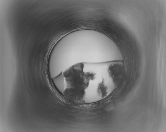 X0000113170049200909040942