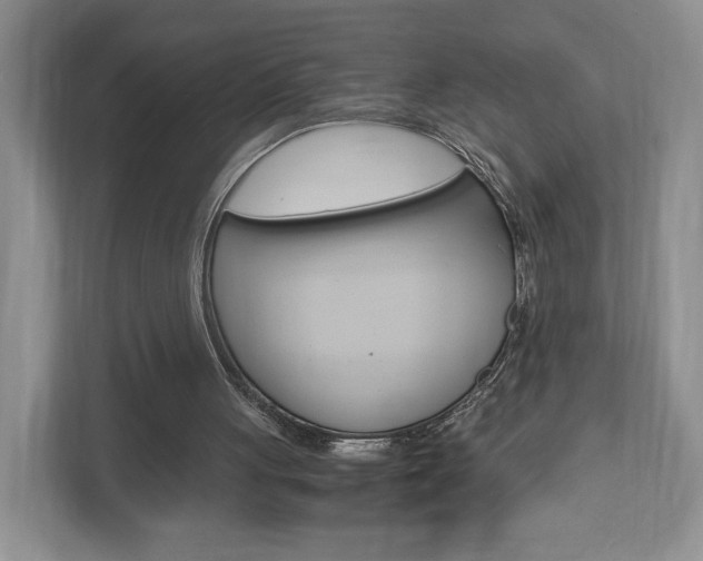 X0000113170051200909040942
