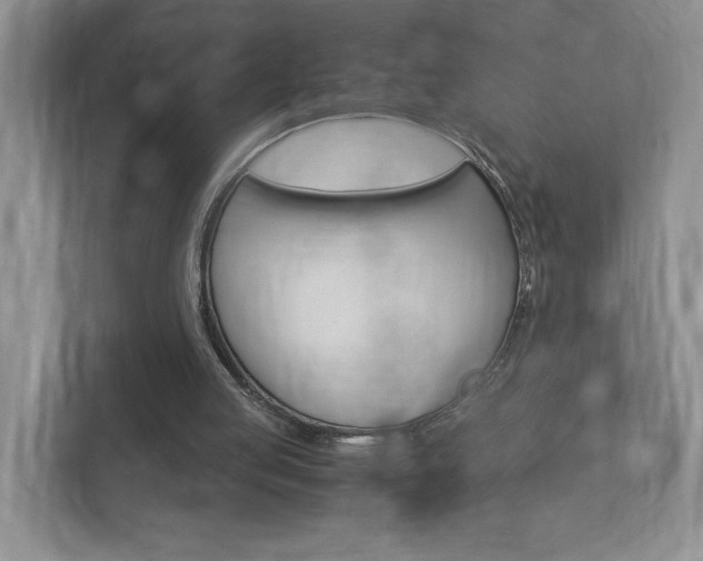 X0000113170053200909040942