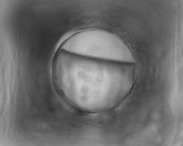 X0000113170054200909040942