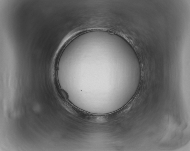 X0000113170056200909040942