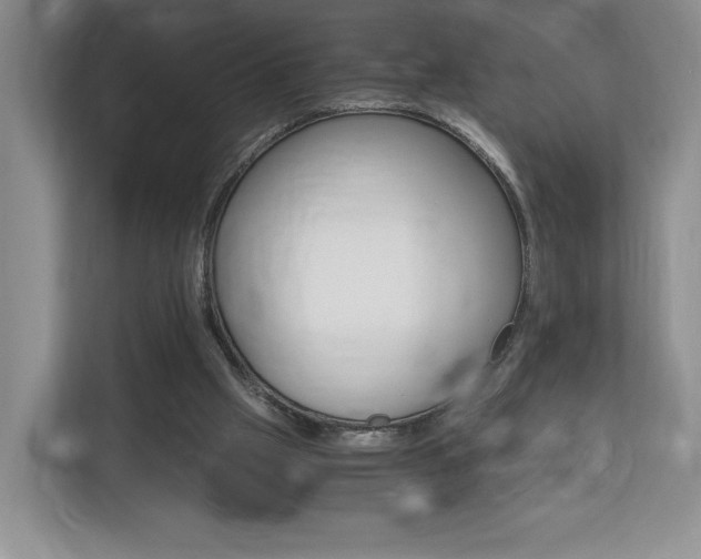 X0000113170057200909040942