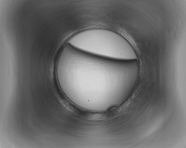 X0000113170058200909040942