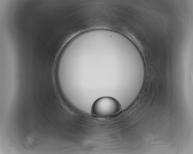X0000113170060200909040942