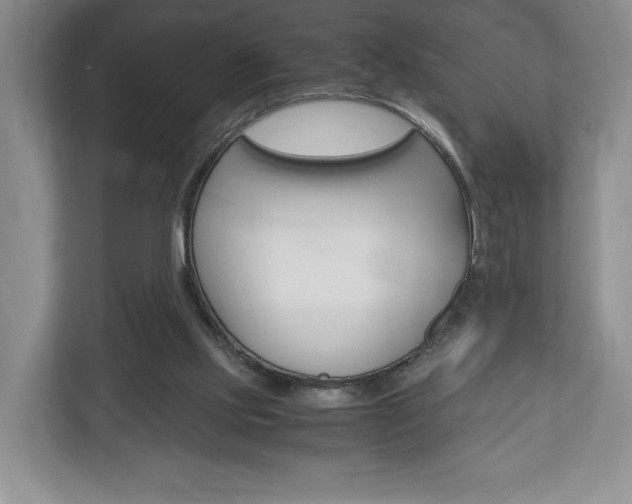 X0000113170061200909040942