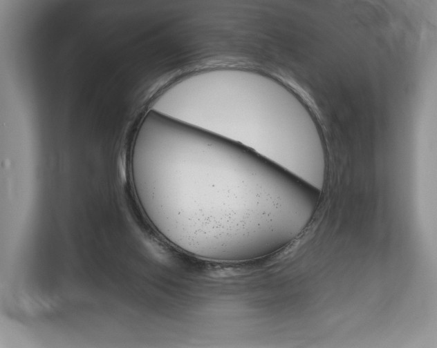 X0000113170062200909040942
