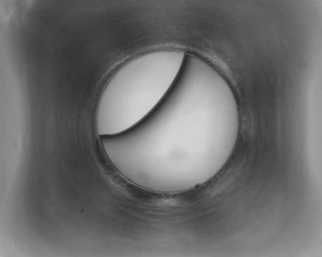 X0000113170063200909040942