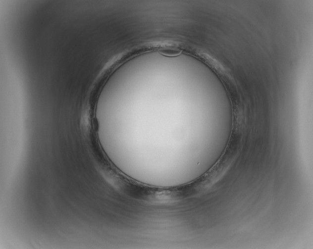 X0000113170064200909040942