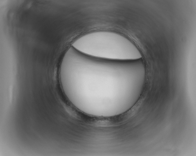 X0000113170066200909040942