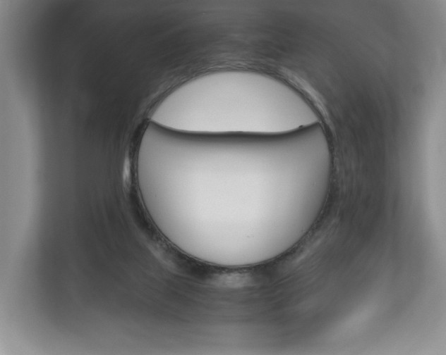 X0000113170067200909040942