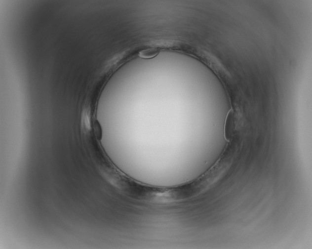 X0000113170068200909040942