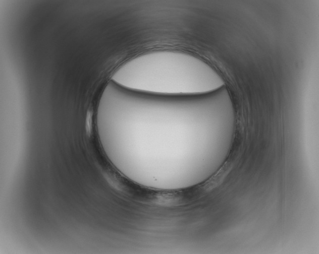 X0000113170070200909040942