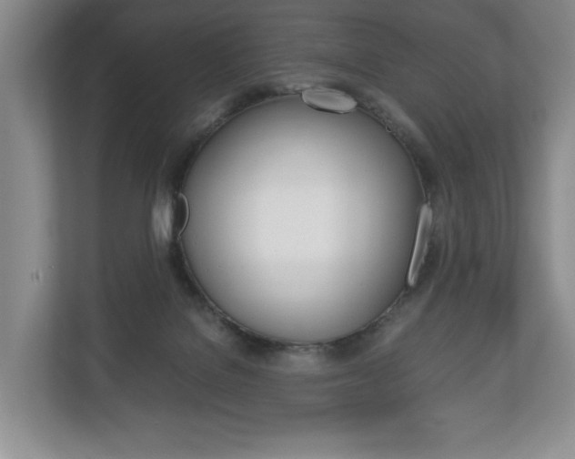 X0000113170076200909040942