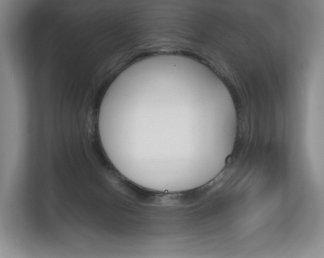X0000113170078200909040942