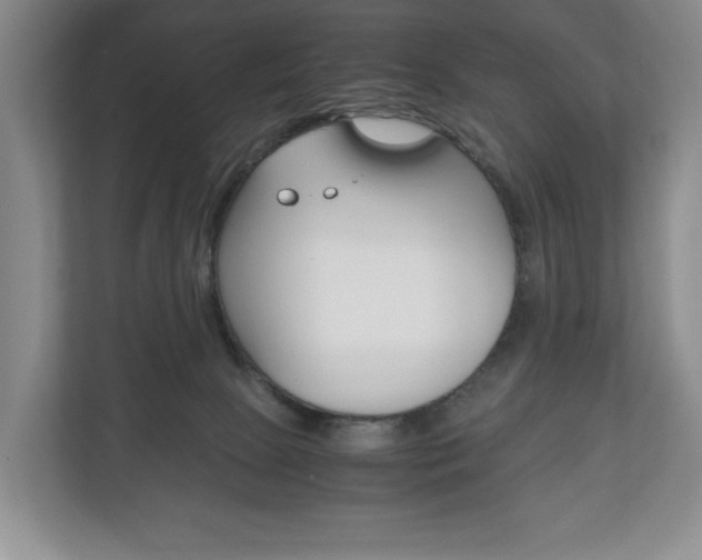 X0000113170081200909040942