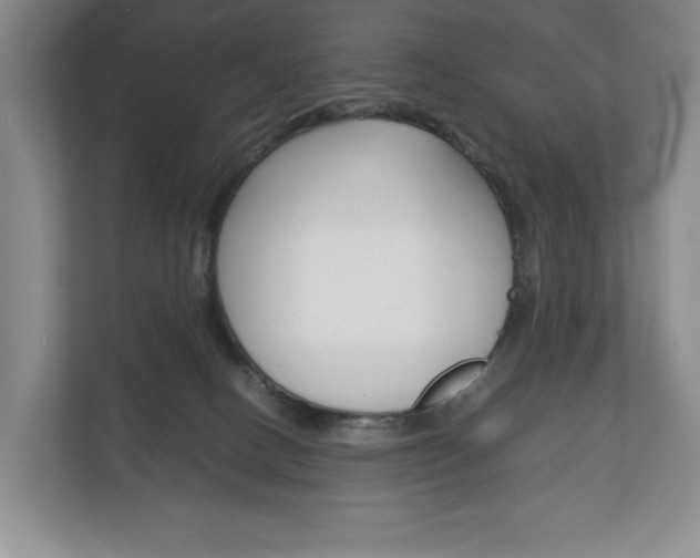 X0000113170082200909040942