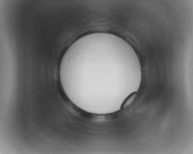 X0000113170083200909040942