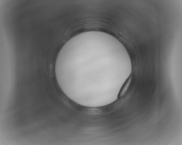X0000113170087200909040942