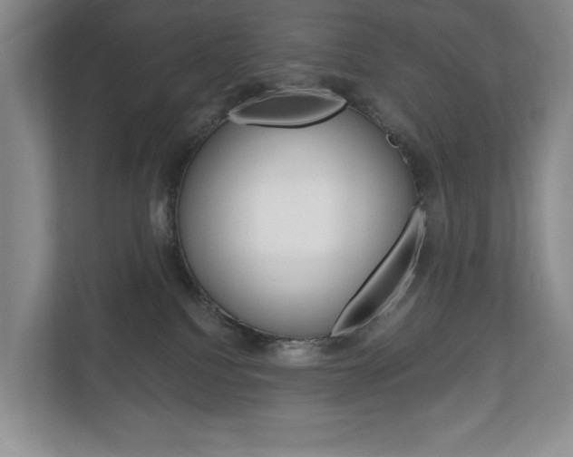 X0000113170088200909040942