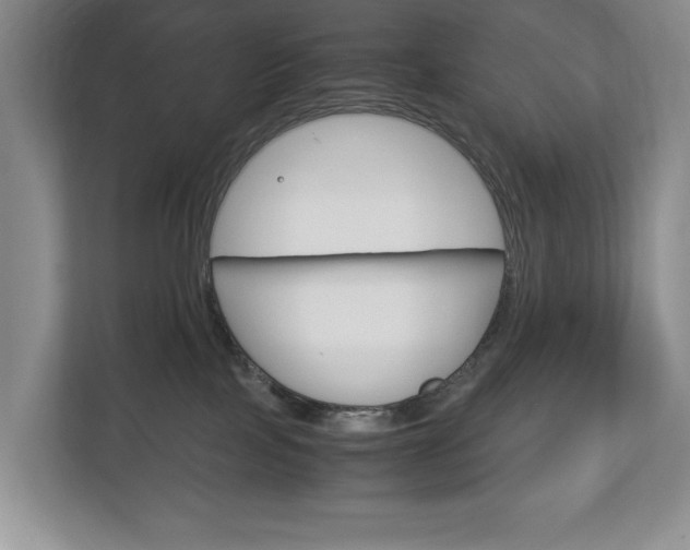 X0000113170089200909040942