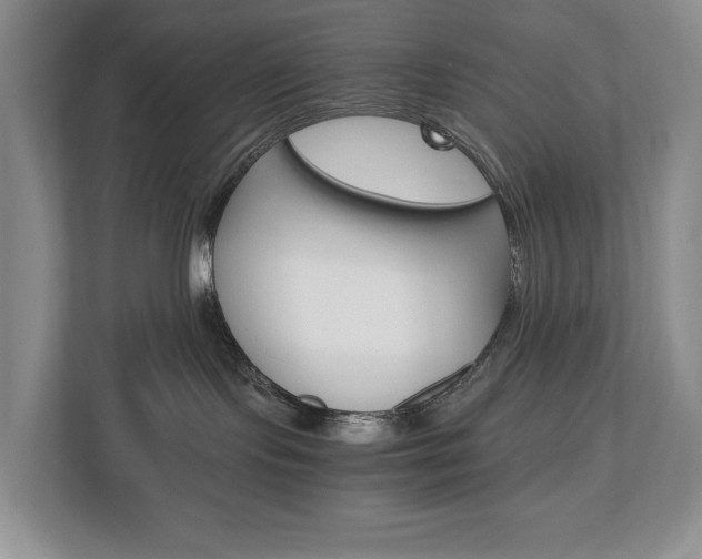 X0000113170095200909040942
