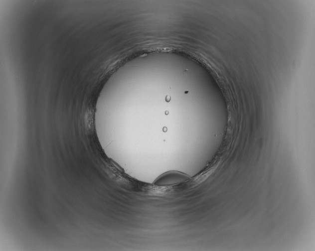 X0000113170096200909040942