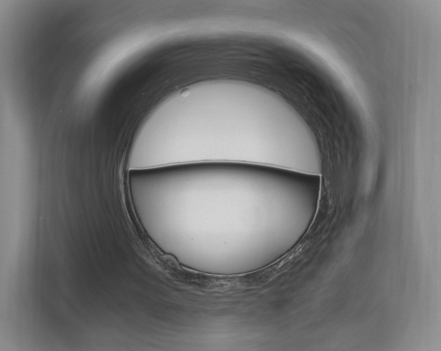 X0000113170099200909040942