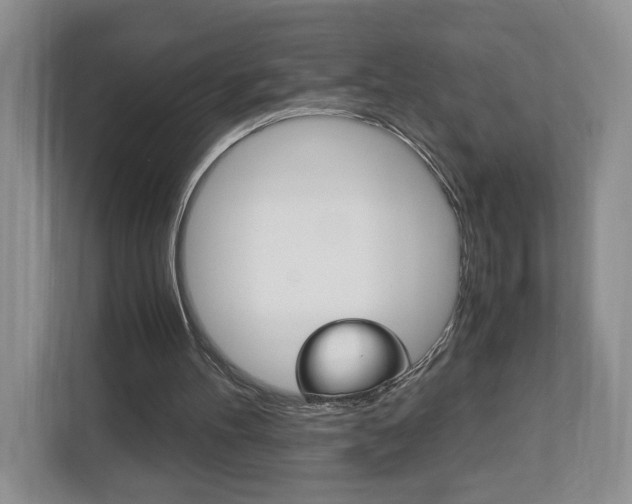 X0000113170100200909040942